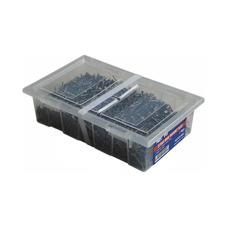 Steel Nail Bright Flat (1")25mm 2kgs Plastic Pack