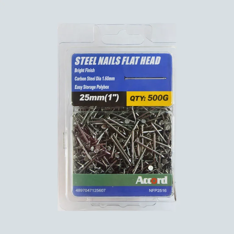 Steel Nail Bright Flat (1")25mm 500g Polybox